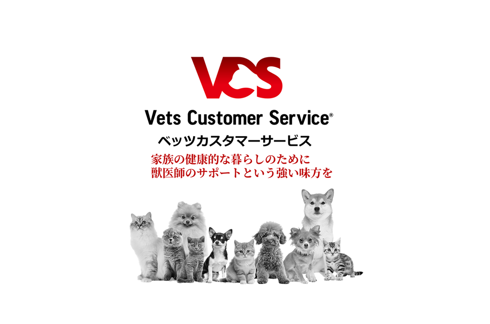 VCSについて