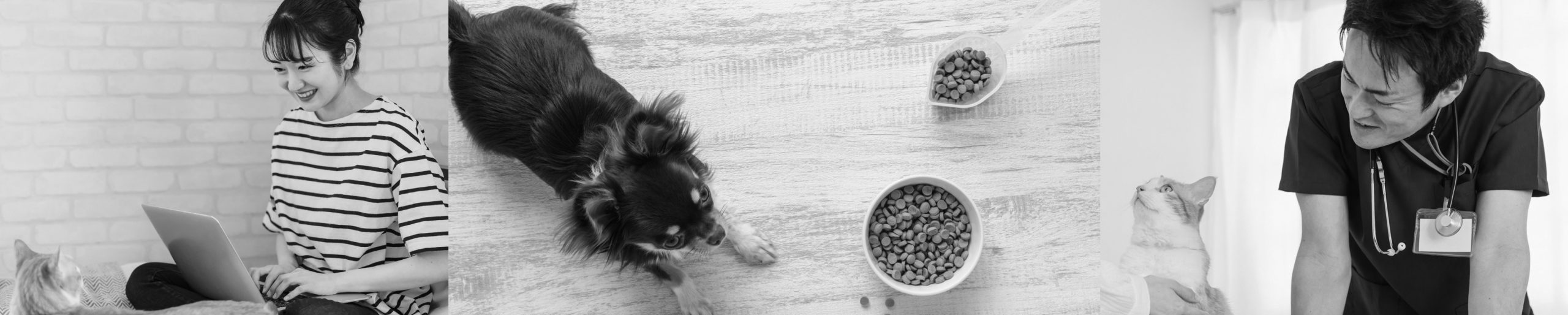 かかりつけ動物病院について