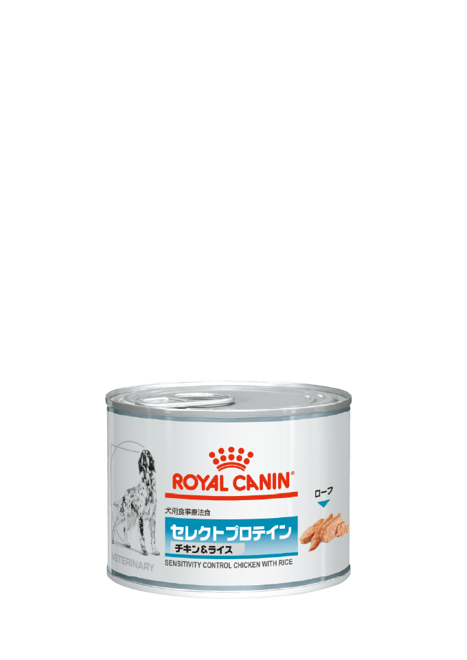 犬用 セレクトプロテイン チキン&ライス ウェット 缶
