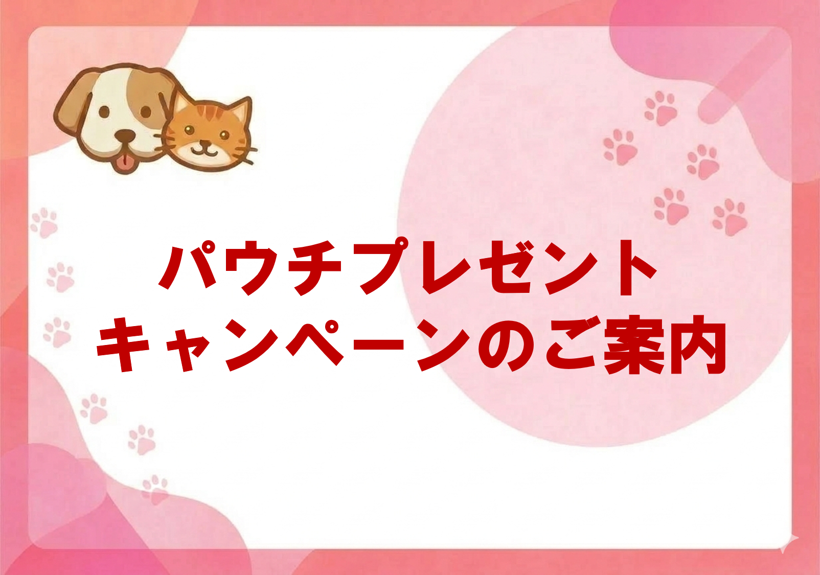 パウチプレゼントキャンペーンのご案内.png